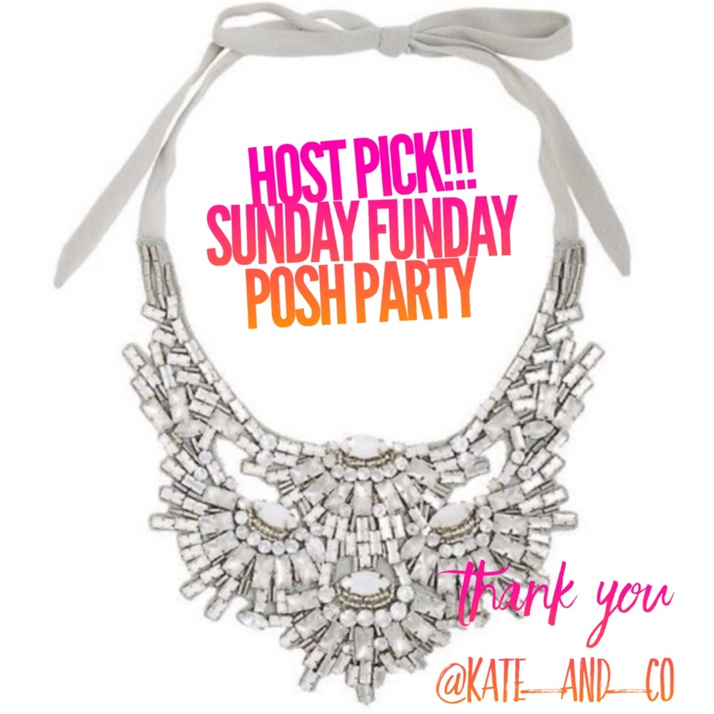Stella & Dot | Stunning Retired Crystal Gala Statement Bib Necklace